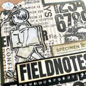 Field notes - clear stamp + dies